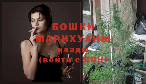 винт Каменка