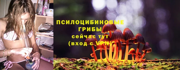 дурь Касимов